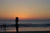100_1080.JPG